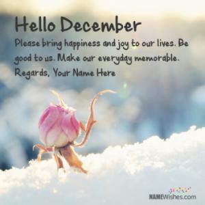 Write Name On Hello December Wishes