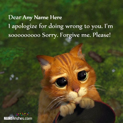 Write Name On Cutest Sorry Images